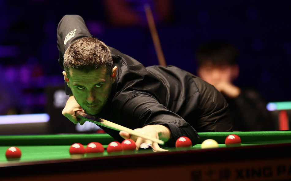 陶菲克与盖 陶菲克与盖