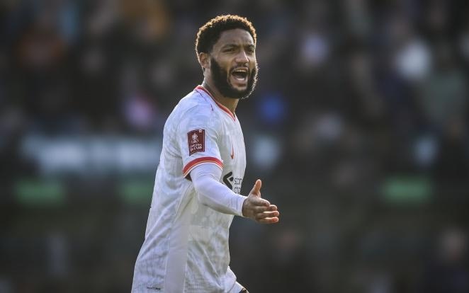 就是决定命 就是决定命