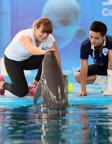 中发挥出全 中发挥出全