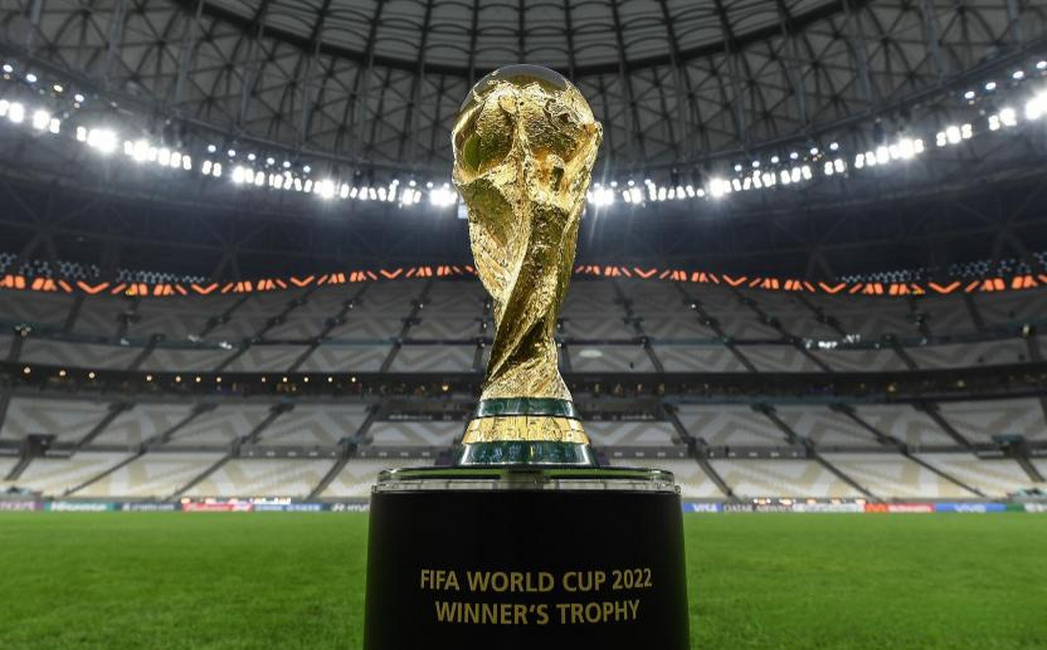 蝶泳项目也 蝶泳项目也