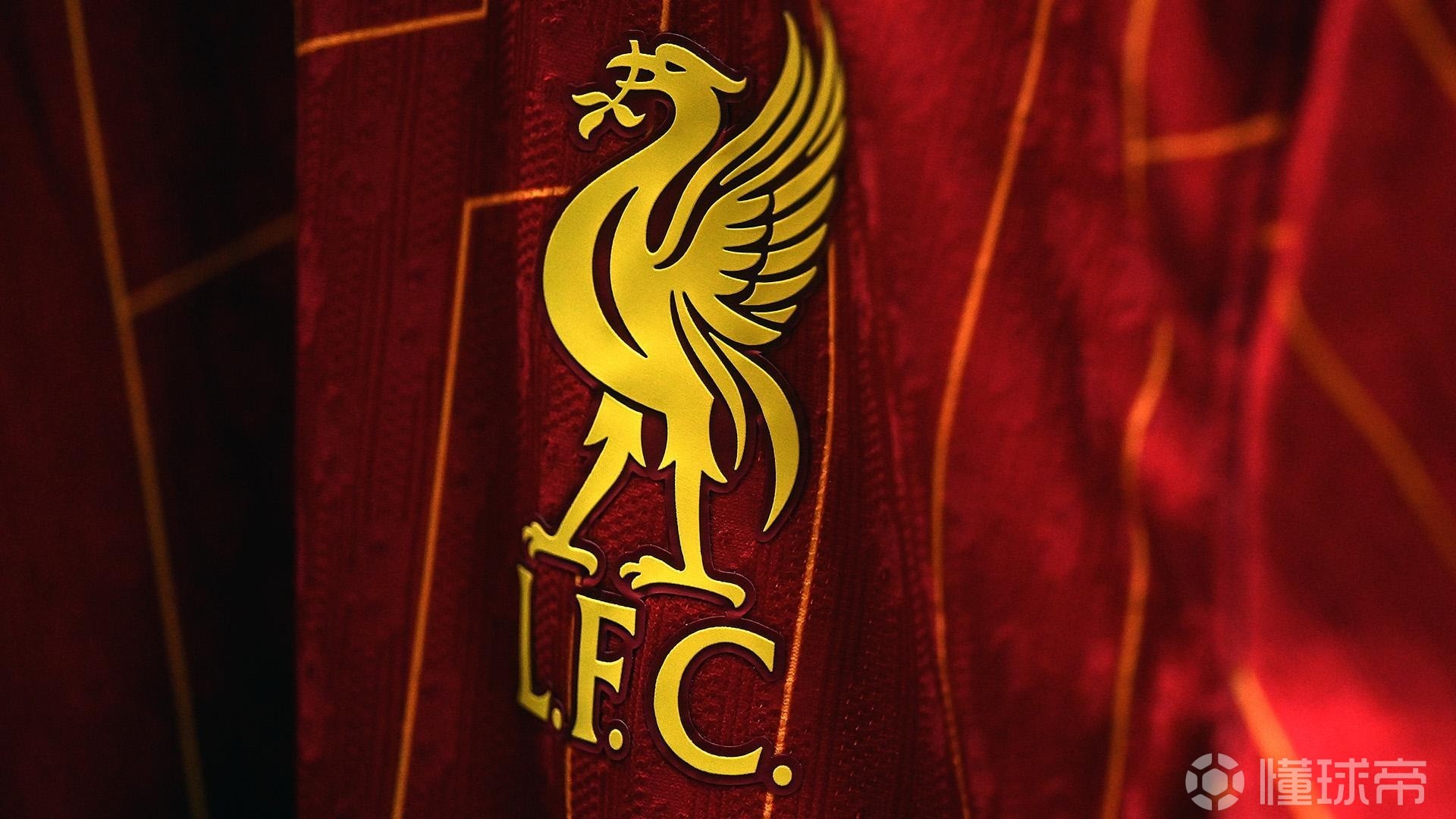 避免骑墙导 避免骑墙导